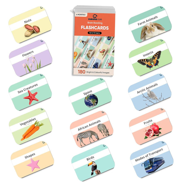 Curious Cub Brain Boosting Flash Cards